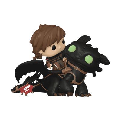 Hiccup with Toothless